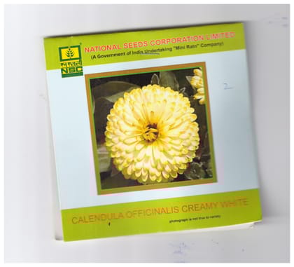 NSC Calendula Officainalis Creamy White T/L Seeds