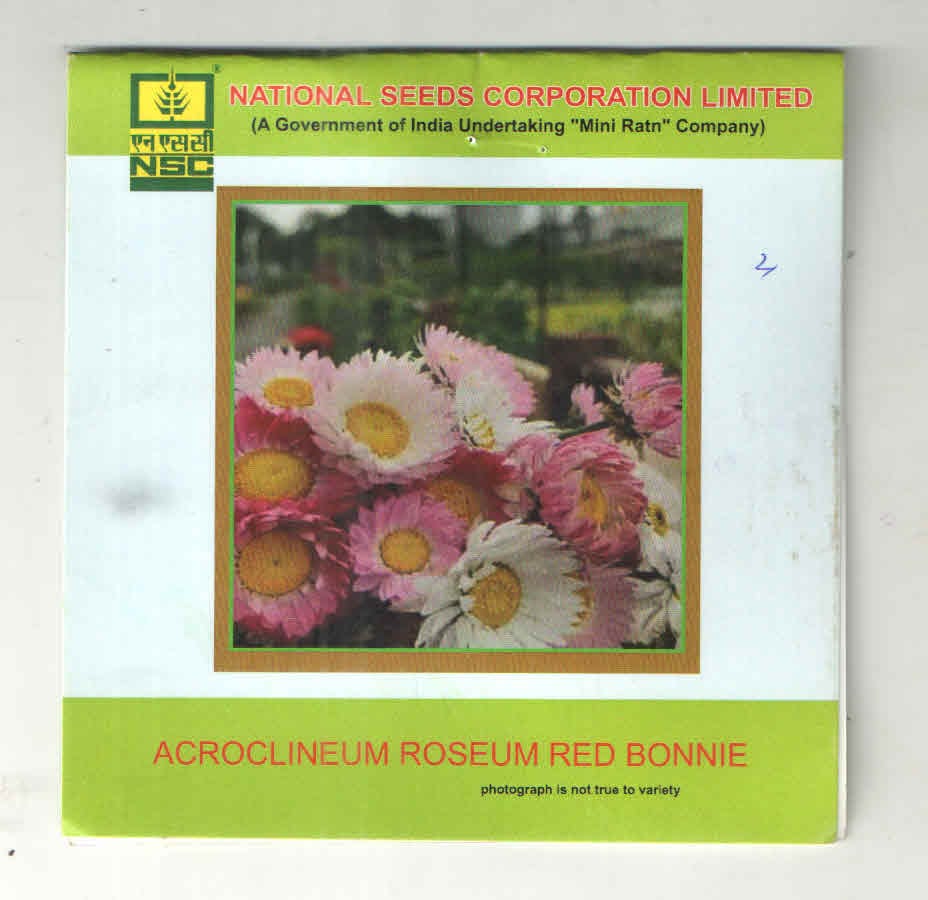 NSC Acroclineum Roseum Red Bonnie T/L 