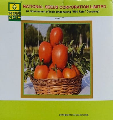 NSC Tomato Kashi Aman