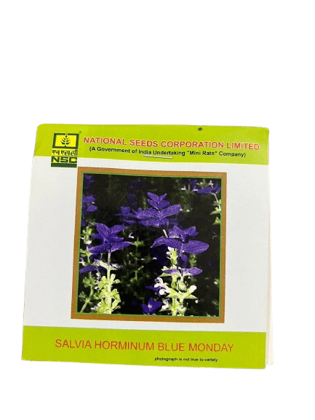 NSC Salvia horminum ‘Blue Monday’ Seeds