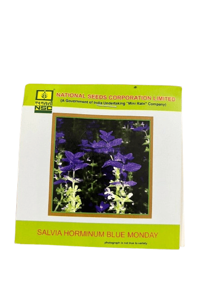NSC Salvia horminum ‘Blue Monday’ Seeds