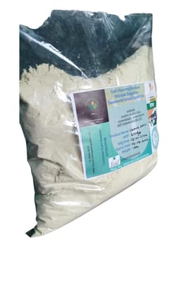 Premium Chana Sattu Powder - 1 Kg Pack by Goh Vikas Mahila Kisan