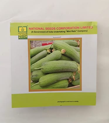 NSC Sponge Gourd Kashi Shreya Variety, 5 gm T/L seed