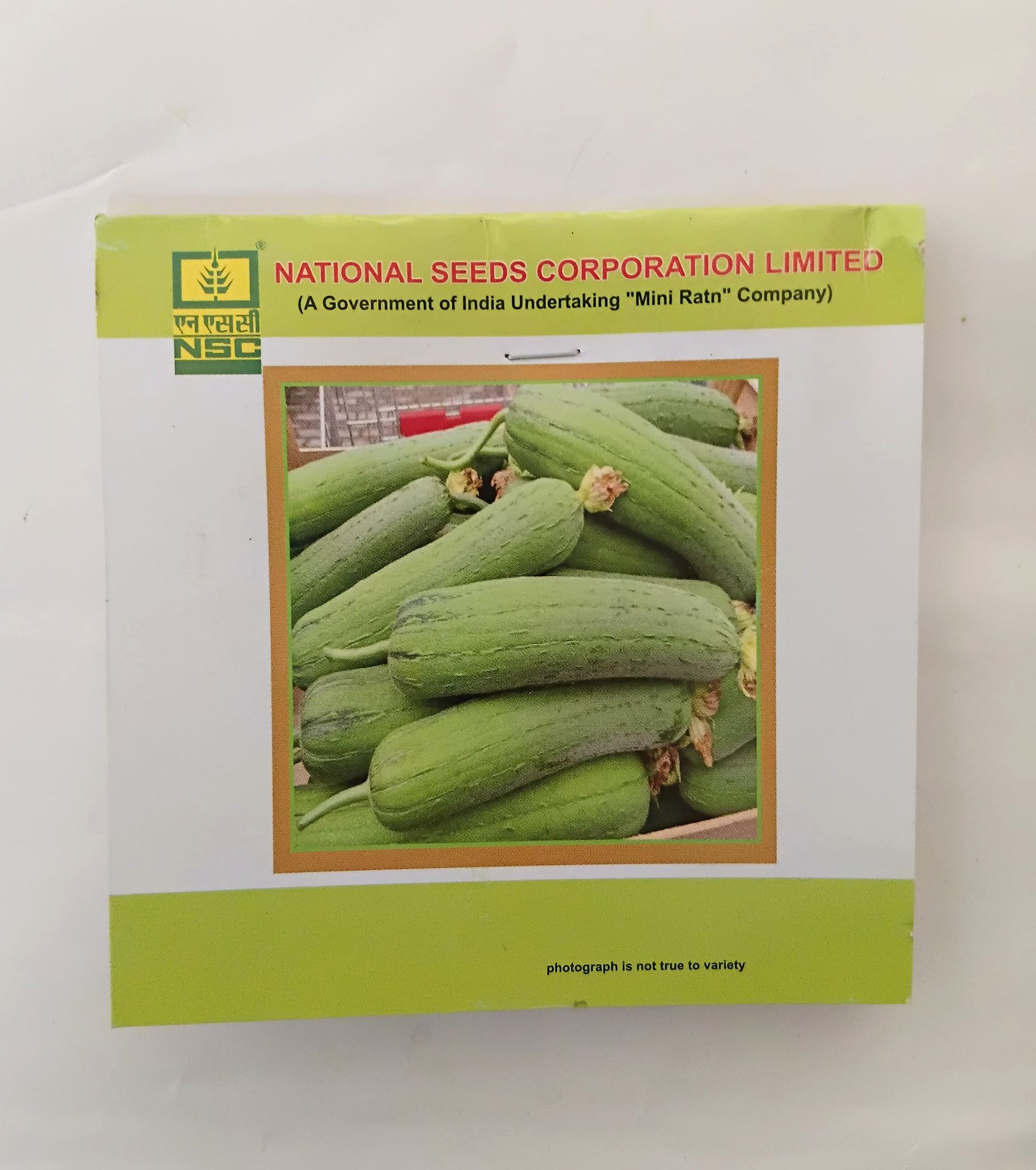 NSC Sponge Gourd Kashi Shreya Variety, 5 gm T/L seed