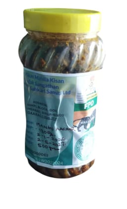 Goh Vikas Mango Aachar - Homemade Authentic Indian Pickle, 500g