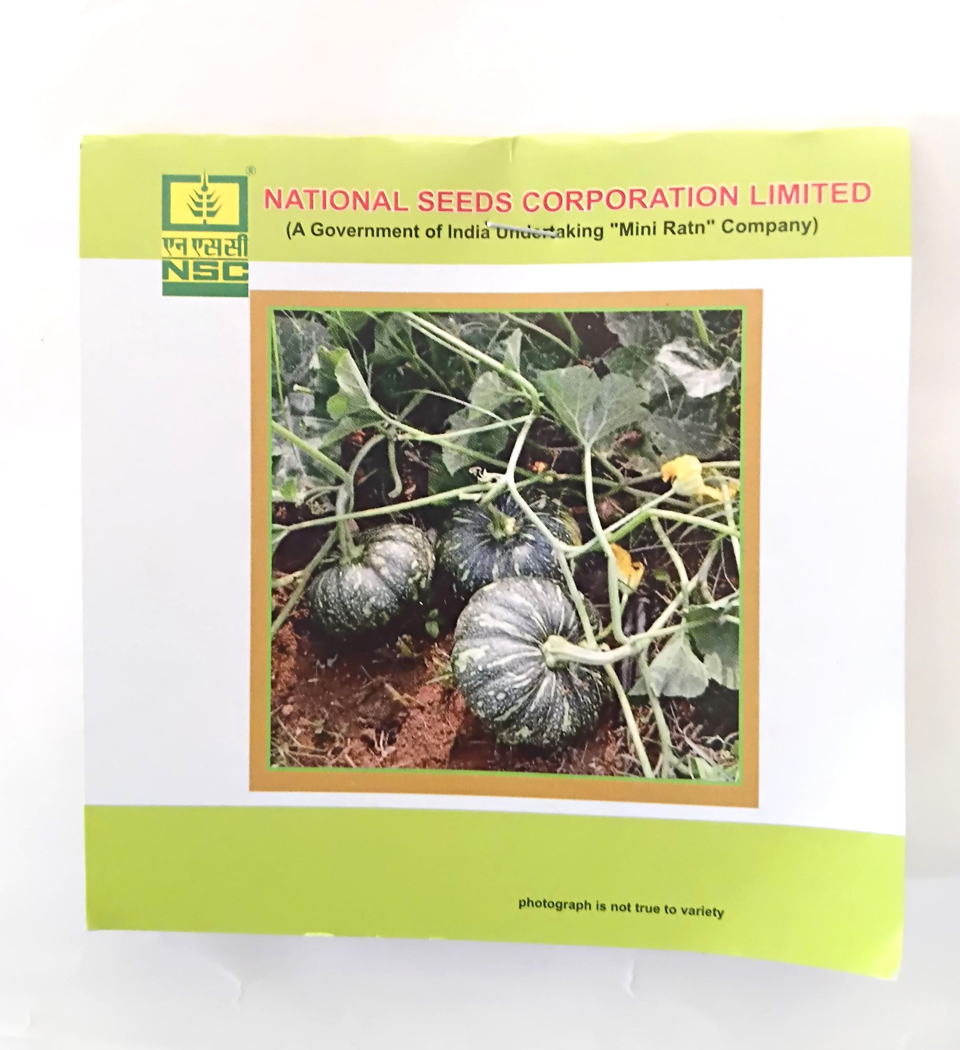 NSC Pumpkin Kashi Harit Variety, 5 gm T/L seed