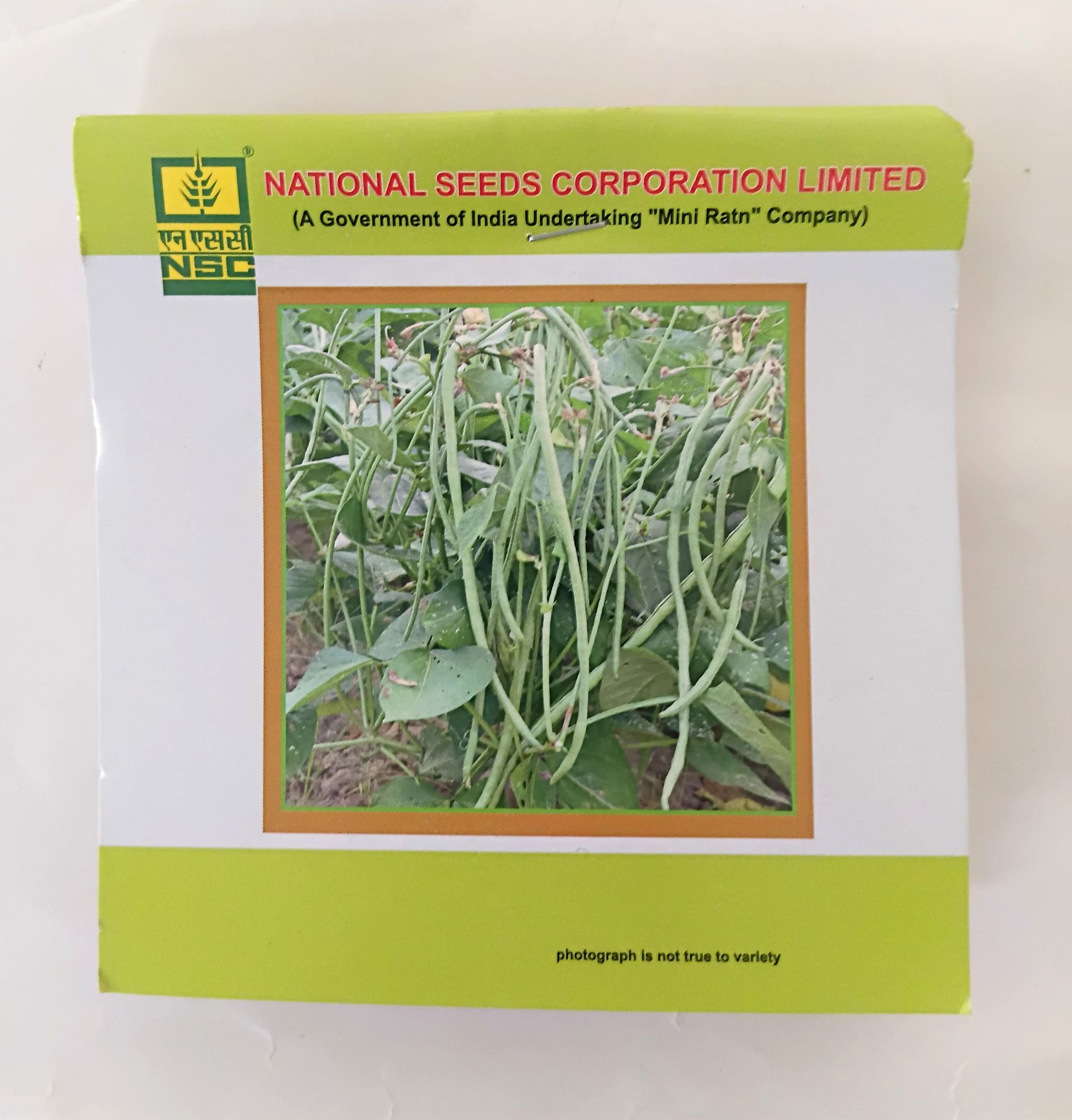 NSC Cowpea Kashi Nidhi Variety, 20 gram T/L Seed