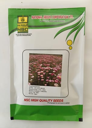 NSC Acroclinium Flower Seed, 10 gram T/L 
