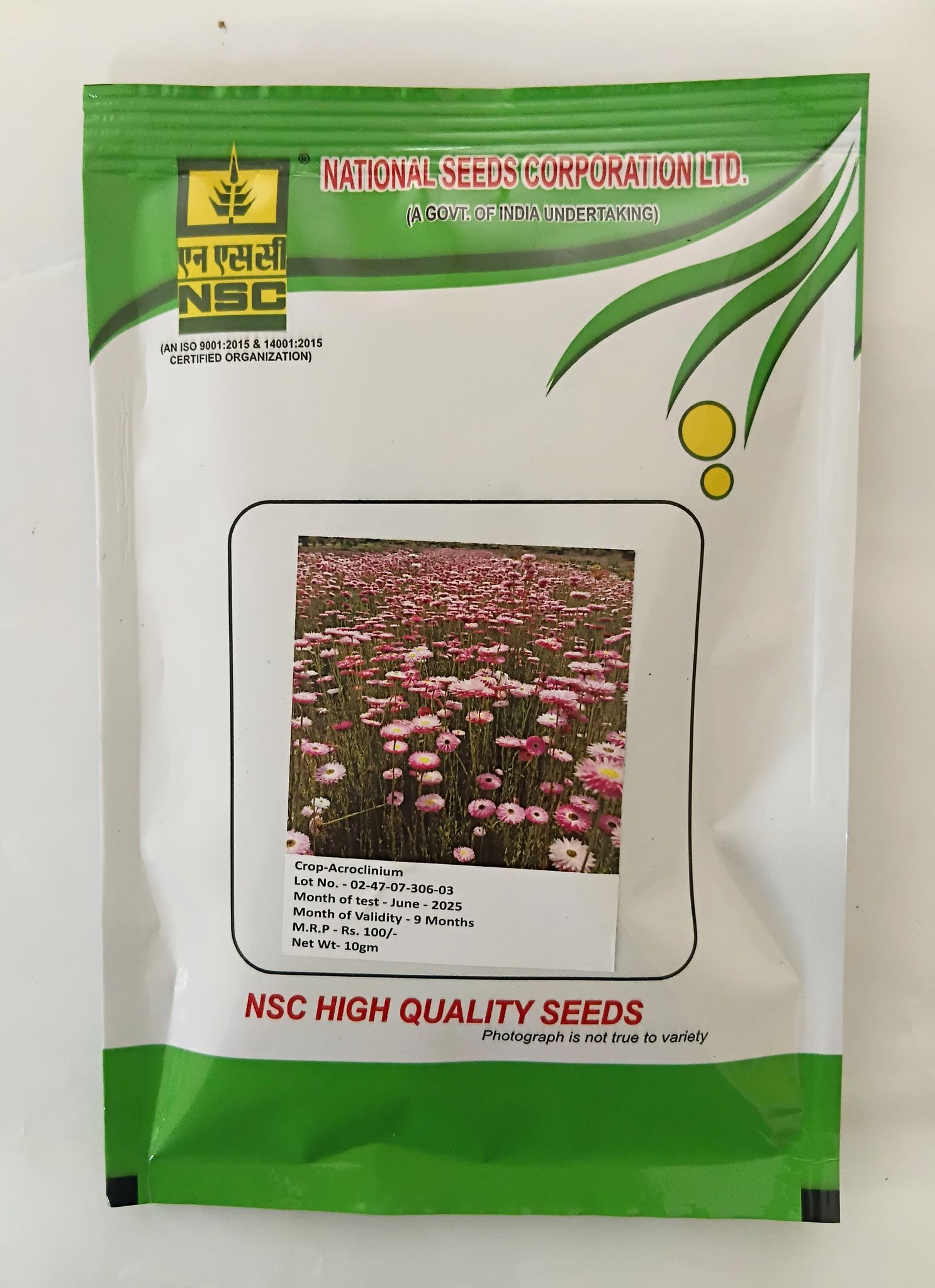 NSC Acroclinium Flower Seed, 10 gram T/L 