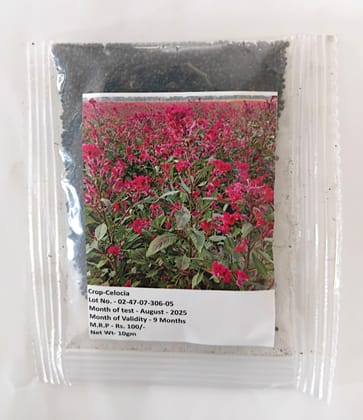 NSC Celocia Flower Seed, 10 gram T/L 
