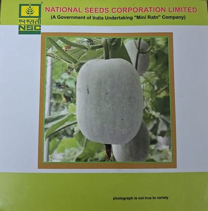 NSC Ash Gourd – Kashi Dhawal – 5 gm