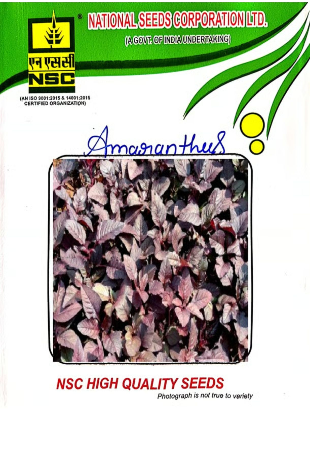 NSC Amaranthus – Arka Arunima Seeds (100 gms)