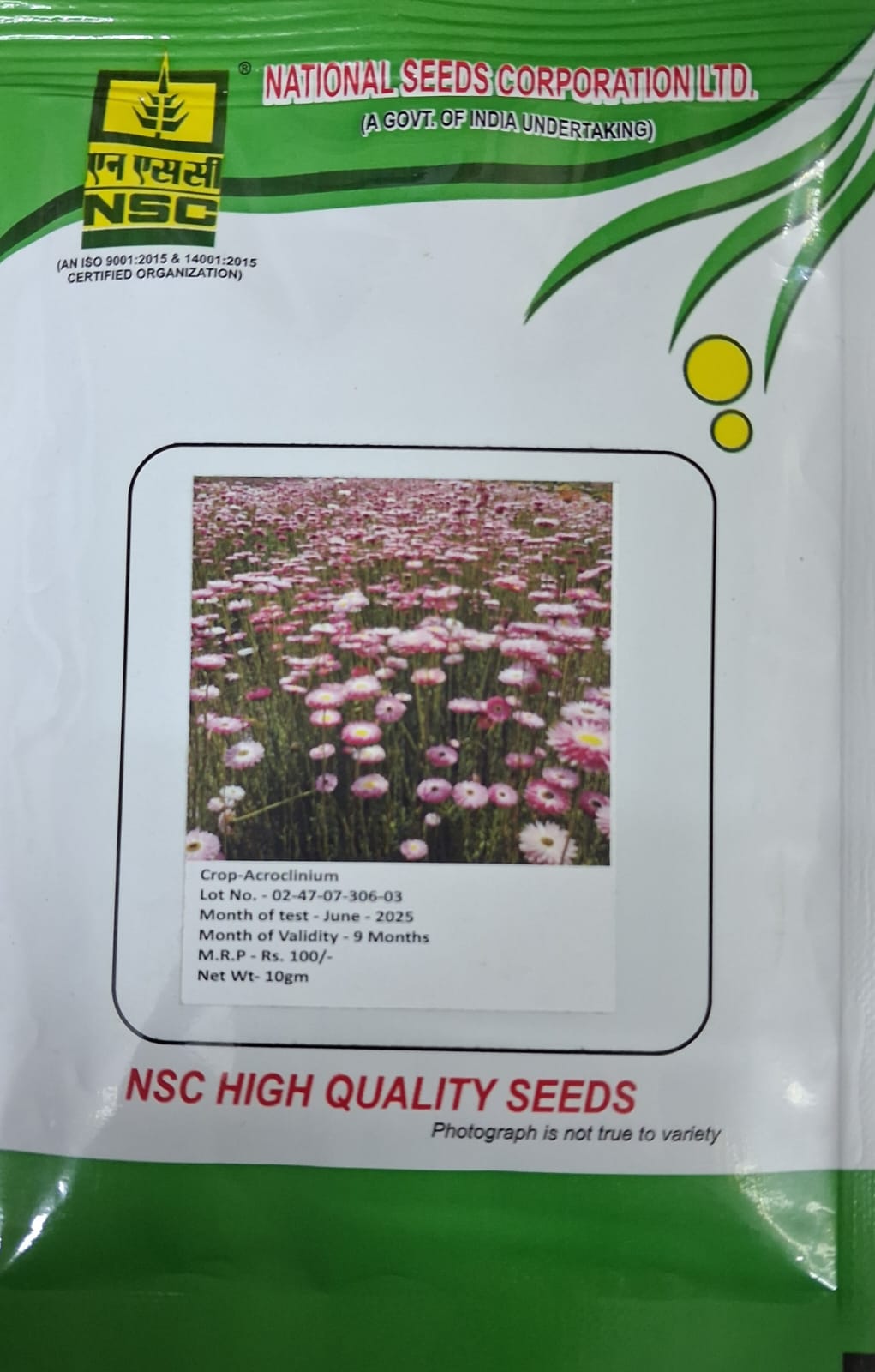 NSC Acroclinium Flower Seed, 10gm