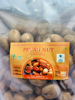 Peacan Nut with shell