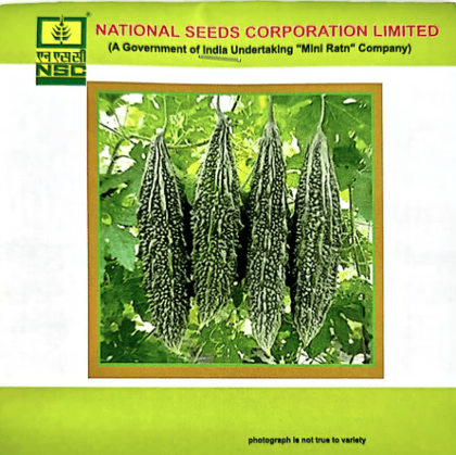 NSC – Bitter Gourd (Kashi Pratishttha) – 5 Gms Seeds