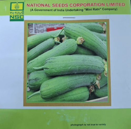 NSC Sponge gourd Kashi Shreya-5 Gms