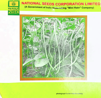 NSC Cowpea variety-Kashi Nidhi-20gm of TL seed