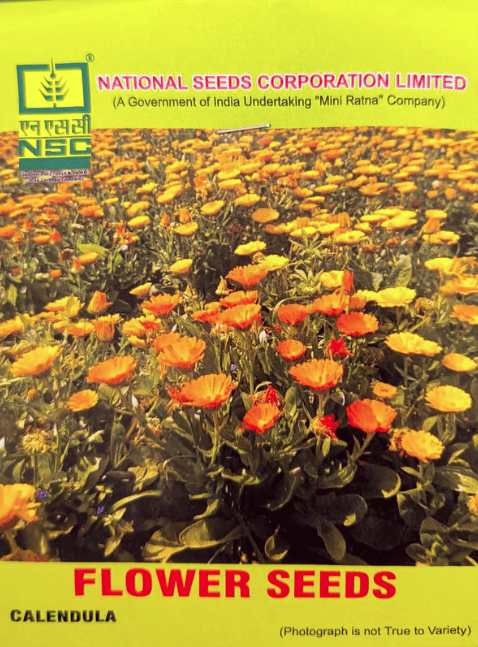 NSC Calendula Seeds - (5 gms)