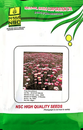 NSC – Acroclinium (10 Gms Seeds)