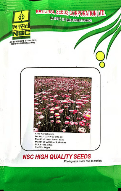 NSC – Acroclinium (10 Gms Seeds)