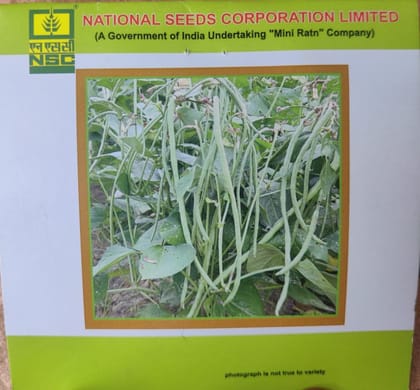 Cowpea - Kashi Nidhi - TL