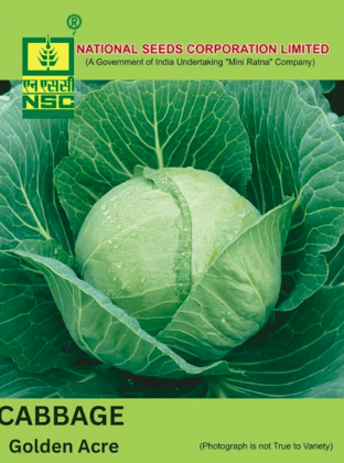 NSC Cabbage Golden Acre - 5 Gms