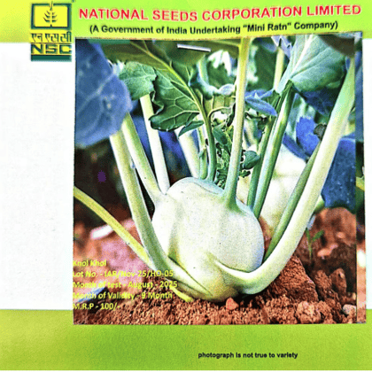NSC – Knol-Khol White Vieena (5 Gms Seeds)
