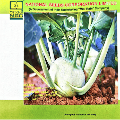 NSC – Knol-Khol White Vieena (5 Gms Seeds)