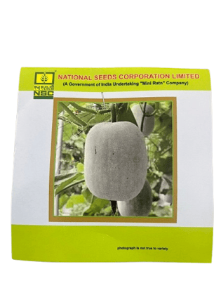 NSC Ash Gourd Variety – Kashi Dhawal Seeds