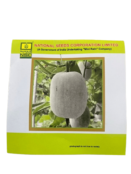 NSC Ash Gourd Variety – Kashi Dhawal Seeds