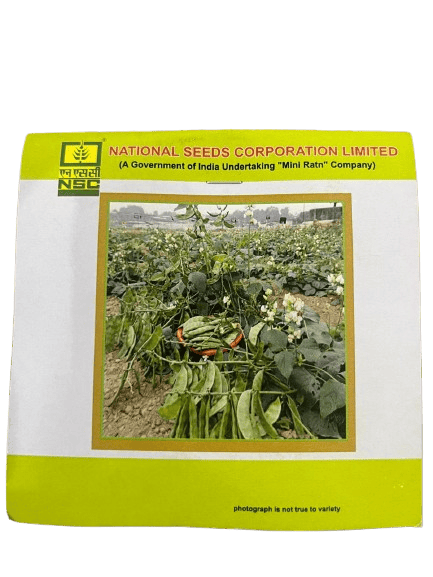NSC Sem (Dolichos Bean) – Kashi Bauni 207 (TL) Seeds