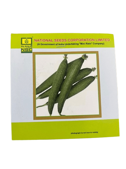 NSC Sponge Gourd Variety – Kashi Jyoti Seeds