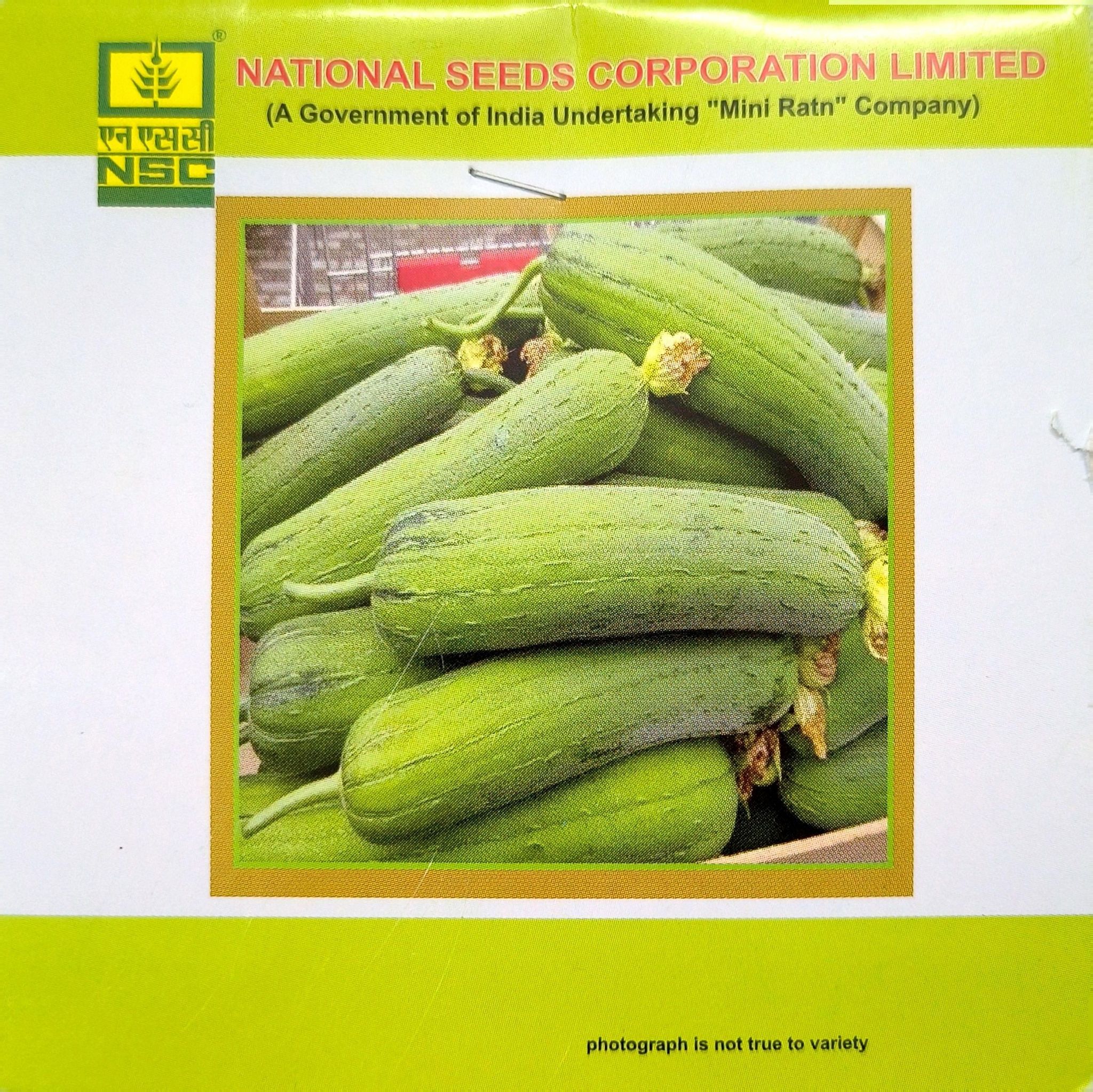 NSC Sponge Gourd – Kashi Shreya Seeds (5 gm Pack)