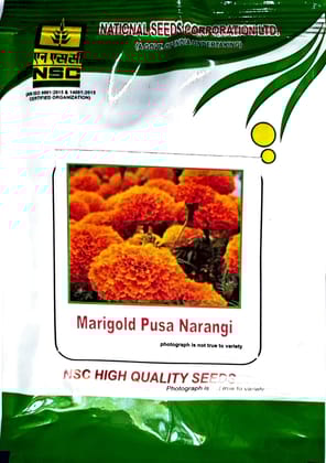 NSC Marigold- Pusa Narangi- High quality TL seeds
