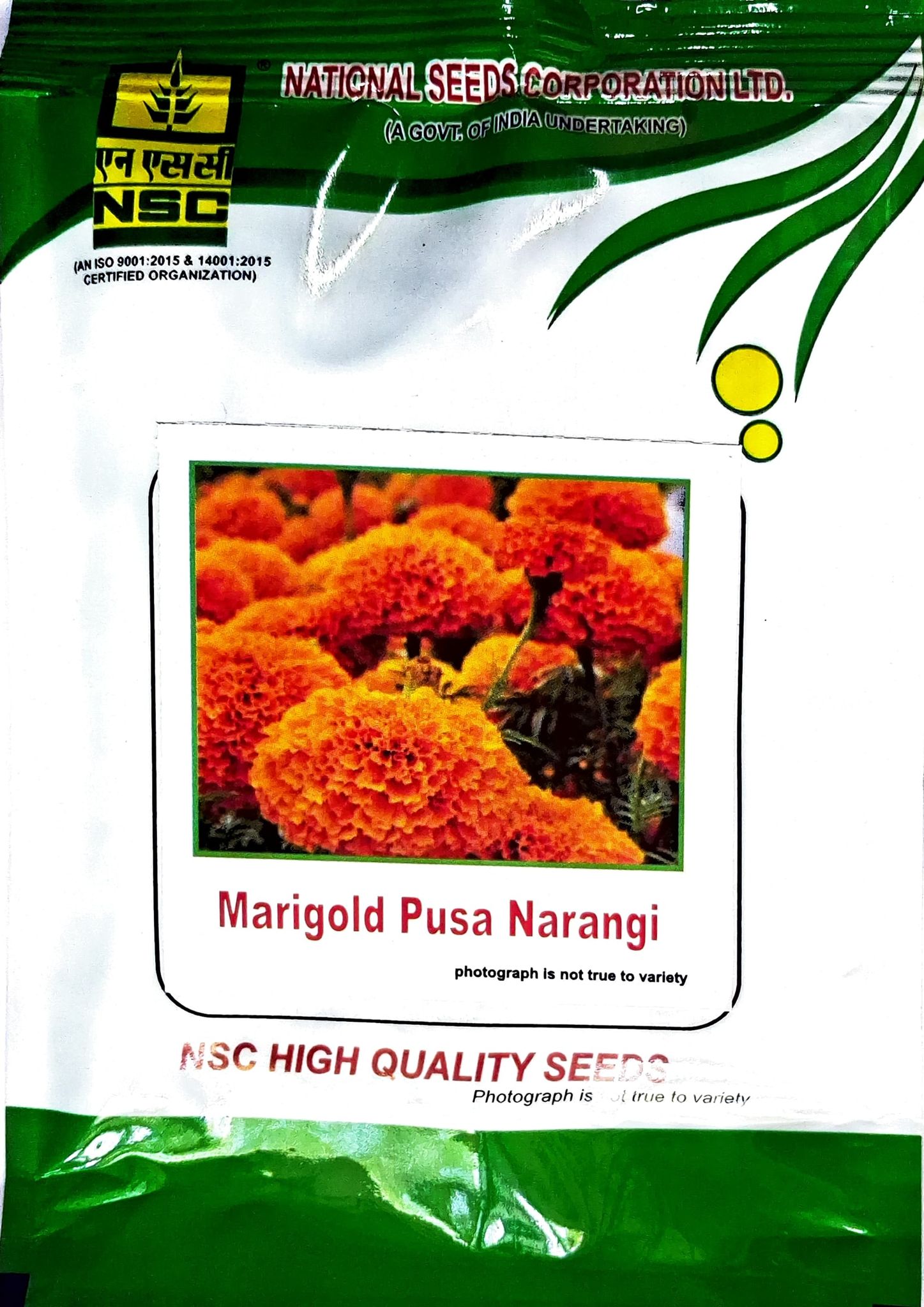 NSC Marigold- Pusa Narangi- High quality TL seeds