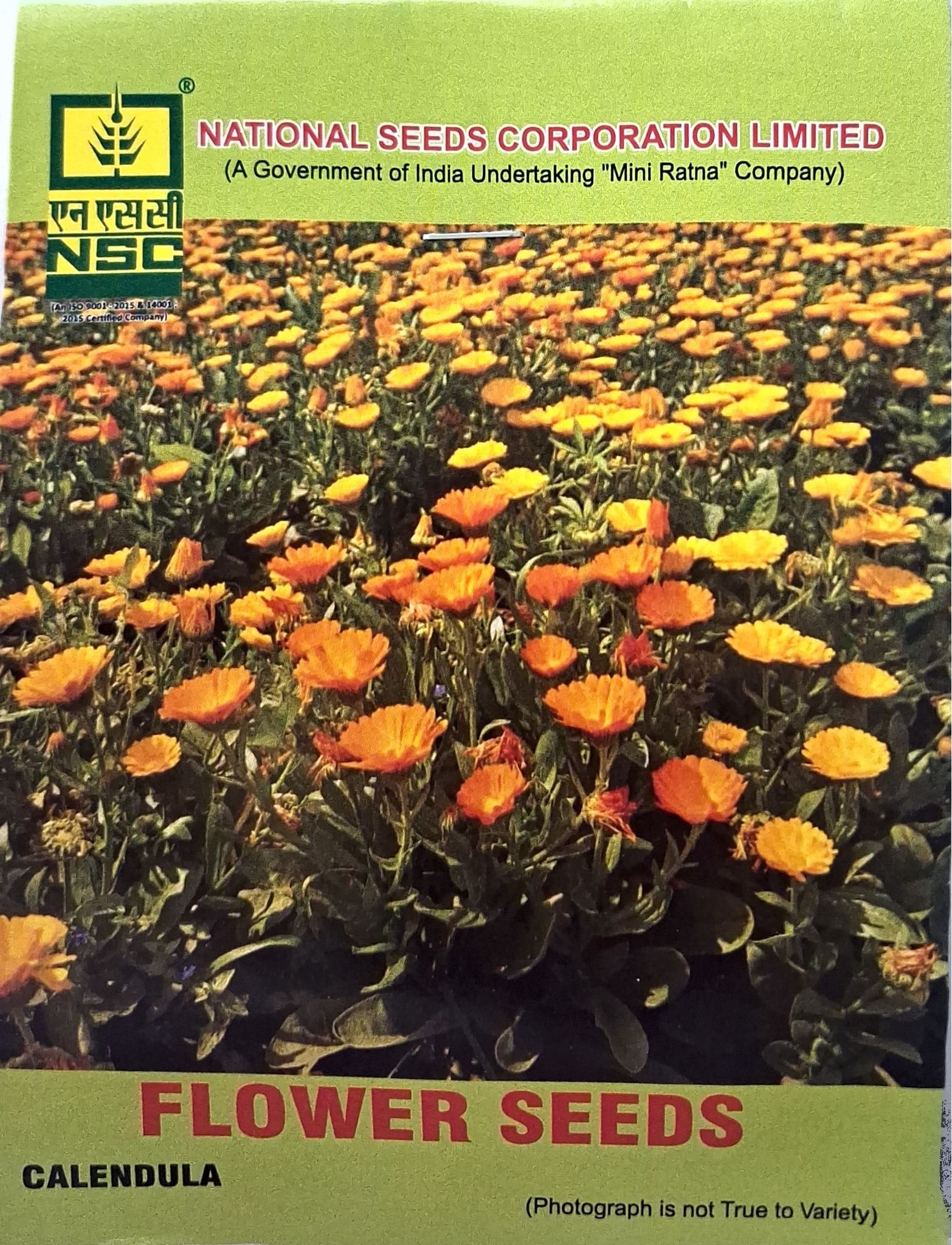 NSC Flower Seeds - Calendula