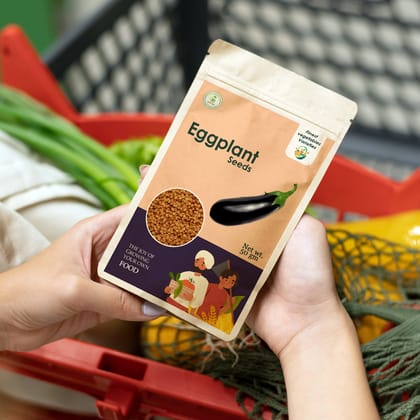 Premium Eggplant Seeds - Planting Home Garden