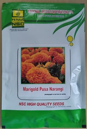 Marigold Pusa Narangi Variety