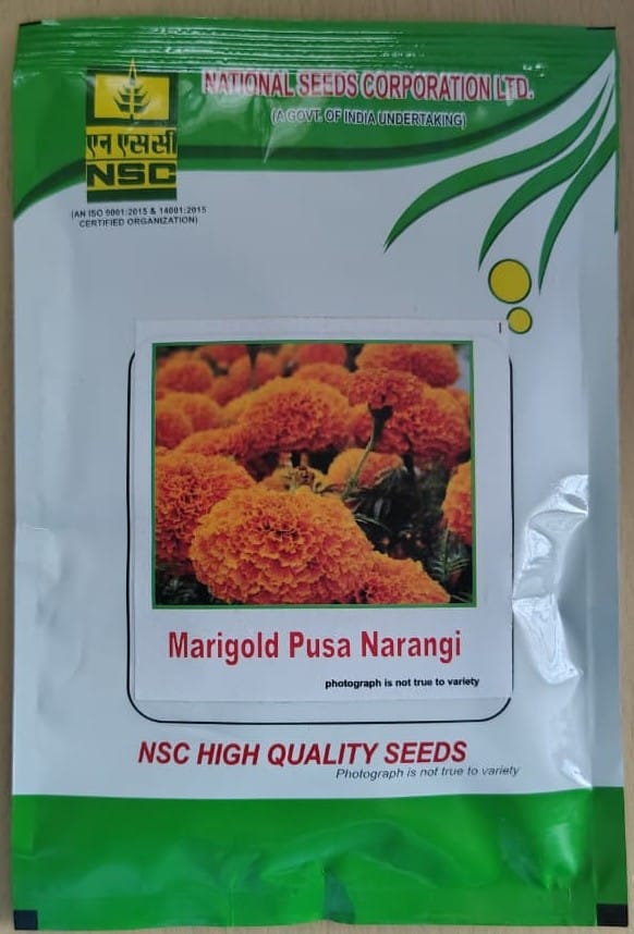 Marigold Pusa Narangi Variety
