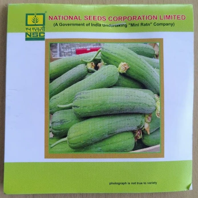 Spounge gourd Variety - Kashi Shreya