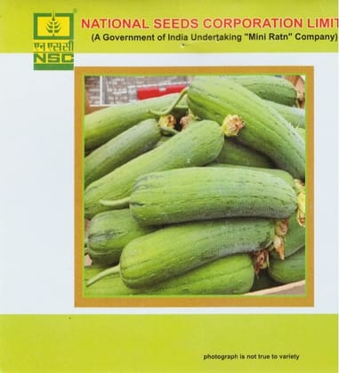 Sponge Gourd – Kashi Shreya