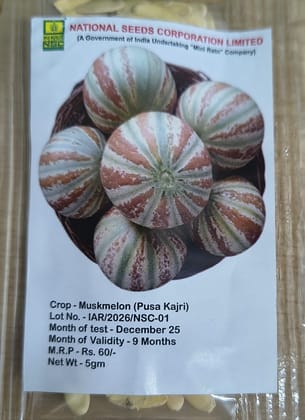 NSC Musk Melon Pusa Kajri Seed, 5gm 