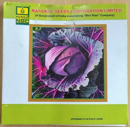 Cabbage (Pusa Red Cab Hyb-I)