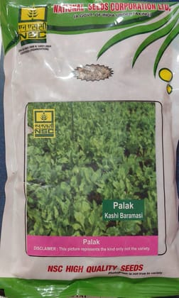 NSC Palak Kashi Baramasi, 250 g Truthfully Labelled seed Pouch