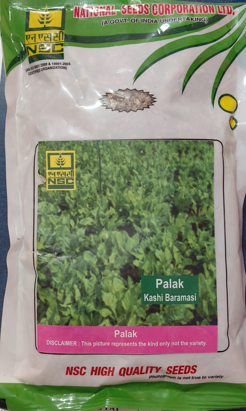 NSC Palak Kashi Baramasi, 250 g Truthfully Labelled seed Pouch