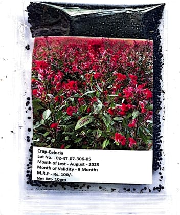NSC Flower Seeds- Celocia- Cockscomb