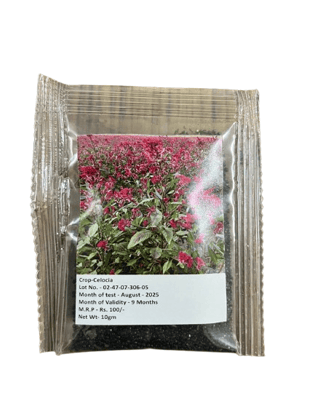 NSC CELOCIA FLOWER SEED