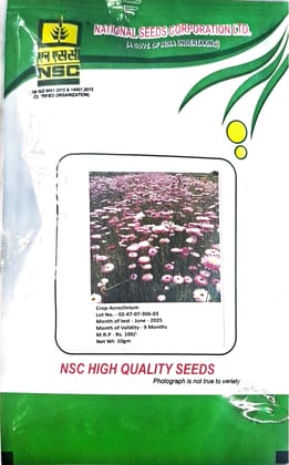 NSC Flower Seeds- Acroclinium 