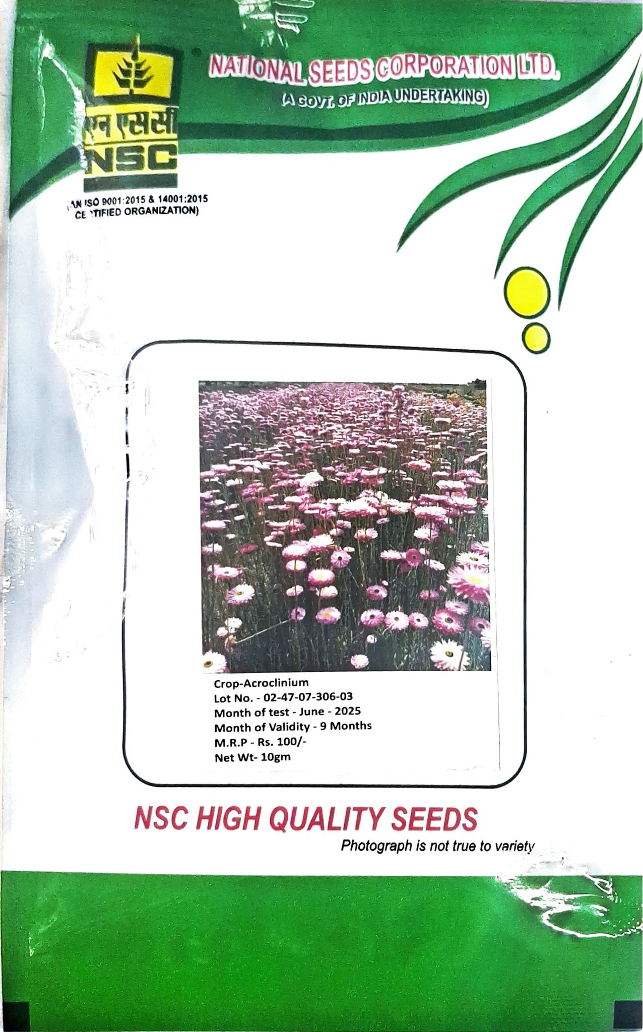 NSC Flower Seeds- Acroclinium 