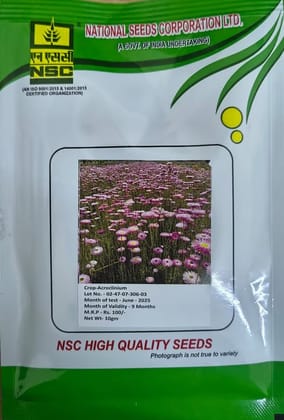 NSC Acroclinium Flower Seed, 10gm